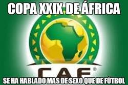 Enlace a Copa XXIX de África