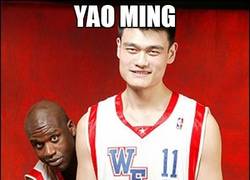 Enlace a Yao Ming