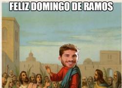 Enlace a Feliz domingo de Ramos
