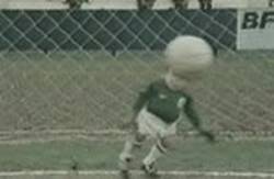 Enlace a GIF: Impresionantes imágenes de Valdés de niño