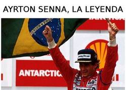 Enlace a Ayrton Senna, historia de una leyenda