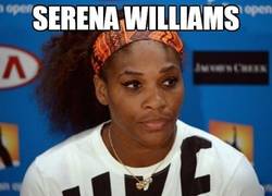 Enlace a Serena Williams