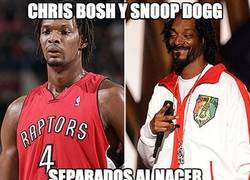 Enlace a Chris Bosh y Snoop Dogg