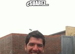 Enlace a ¿Suárez?