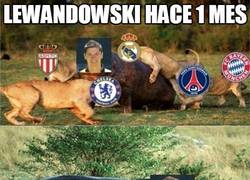 Enlace a Lewandowski hace 1 mes