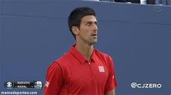Enlace a GIF: Djokovic al ver que Rafa lleva una racha imparable