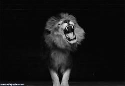 Enlace a GIF: El león Llorente volvió a rugir en Turín