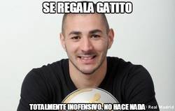 Enlace a Se regala gatito