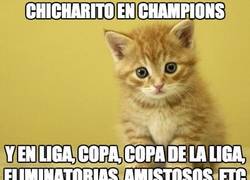Enlace a Chicharito en Champions