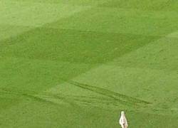 Enlace a El Manchester United sube una foto con la marca que dejó Van Persie celebrando su gol