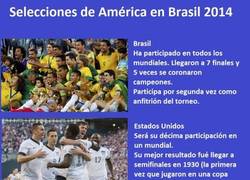 Enlace a Selecciones de América en el Mundial de Brasil 2014
