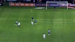 Enlace a GIF: Golazo de Seedorf con el Botafogo