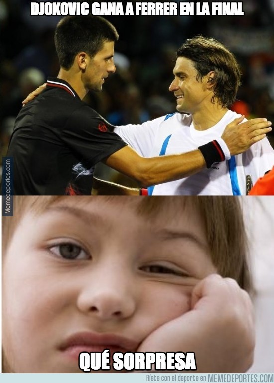 235611 - Djokovic gana a Ferrer en la final