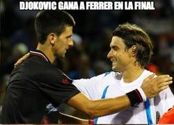Enlace a Djokovic gana a Ferrer en la final