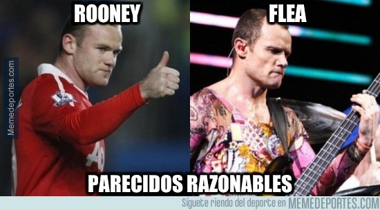 256291 - Rooney vs Flea