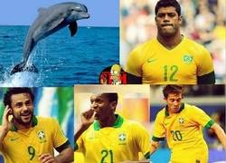 Enlace a Los delanteros convocados por Brasil para el Mundial