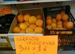 Enlace a Así compramos las naranjas en Sevilla