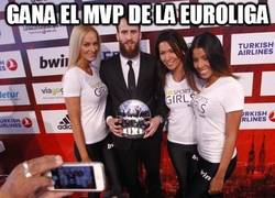 Enlace a Gana el MVP de la Euroliga
