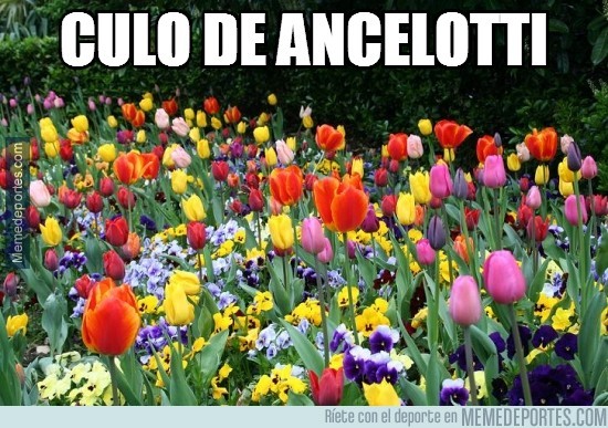 323753 - Ancelotti no sólo tiene una flor en el culo, tiene todo un jardín