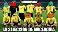 Enlace a Confirmada la selección de Macedonia