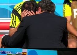 Enlace a Atención sensibles. Dos imágenes que te pueden romper el corazón