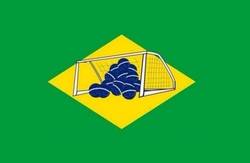 Enlace a La mejor descripción gráfica entre el partido de Brasil-Alemania