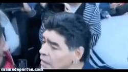 Enlace a GIF: Cuidado, no hagas enfadar a Maradona o te soltará un guantazo