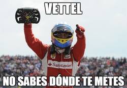 Enlace a Ánimo Vettel