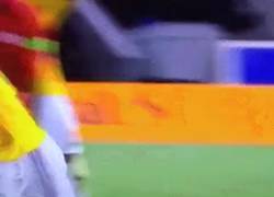 Enlace a GIF: James empuja agresivamente a Guarín en la celebración de su gol