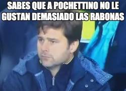 Enlace a Pochettino is not impressed
