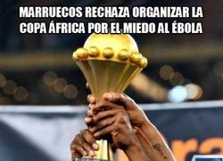Enlace a Guinea Ecuatorial organizará la Copa África 2015