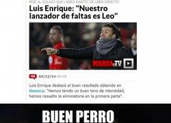 Enlace a Buen perrito, Lucho, buen perrito