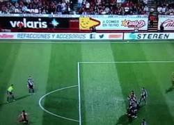 Enlace a GIF: Otro golazo más de Juan Arango de tiro libre