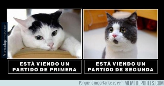 485086 - Esta jornada en el fútbol español