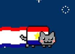 Enlace a GIF: Holanda en estos momentos
