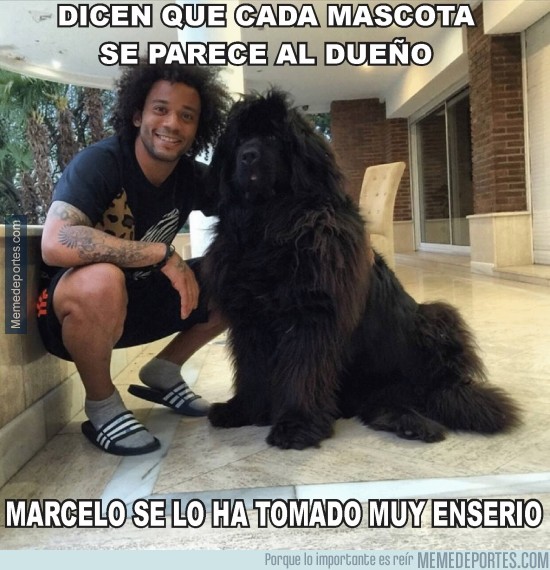 506055 - Marcelo y su mascota, parecidos razonables