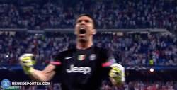 Enlace a GIF: Así celebraba Buffon el pase a la final