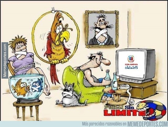 569861 - Mi plan para la Copa América Chile 2015