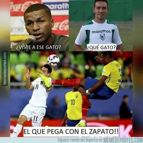 591641 - Viste a ese gato?