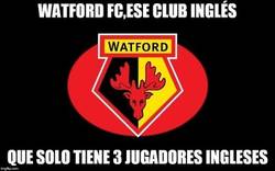 Enlace a Watford F.C... ¿club inglés?