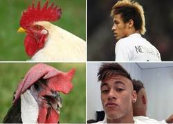Enlace a La evolución de Neymar