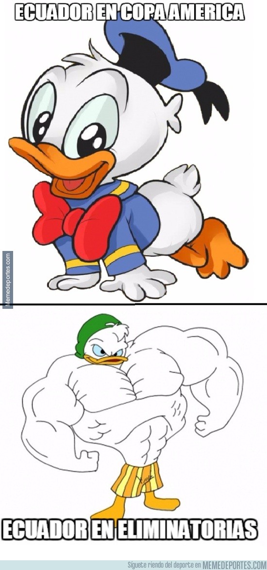 710363 - Ecuador en Copa América y en eliminatorias