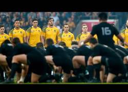 Enlace a Vídeo: La haka de los All Blacks antes de jugar la final del Mundial de Rugby. ¡LA PIEL DE GALLINA!
