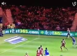 Enlace a GIF: El gol de Lukaku para el Everton que pone el 0-2