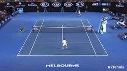 Enlace a GIF: Puntazo de Andy Murray ante David Ferrer