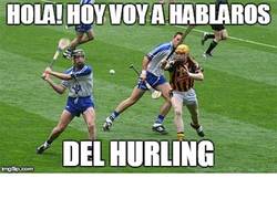 Enlace a El hurling