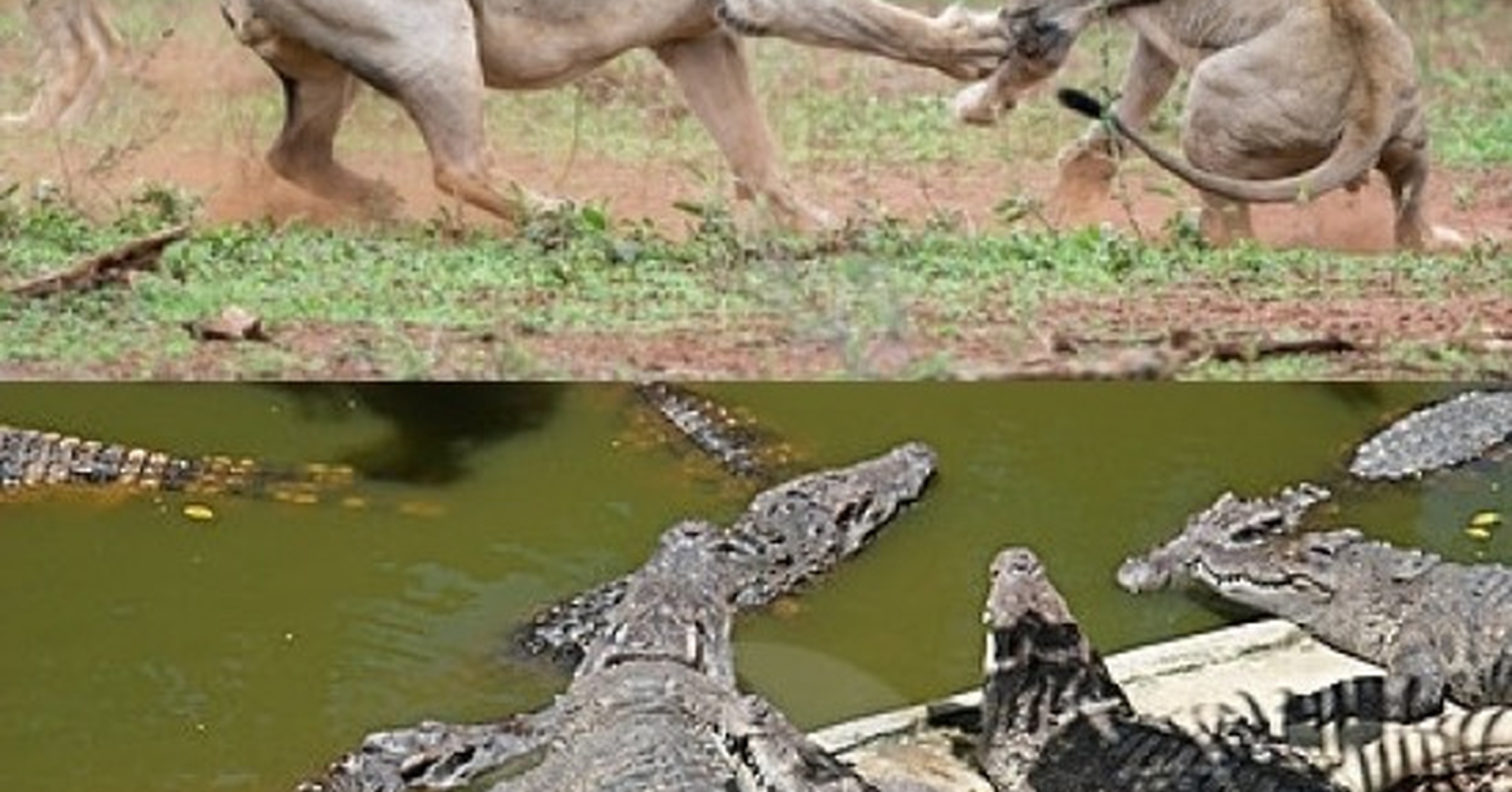 [ MEMEDEPORTES ] Una de las Bota de Oro con más candidatos