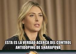 Enlace a La verdad de lo ocurrido con Sharapova y el control antidoping