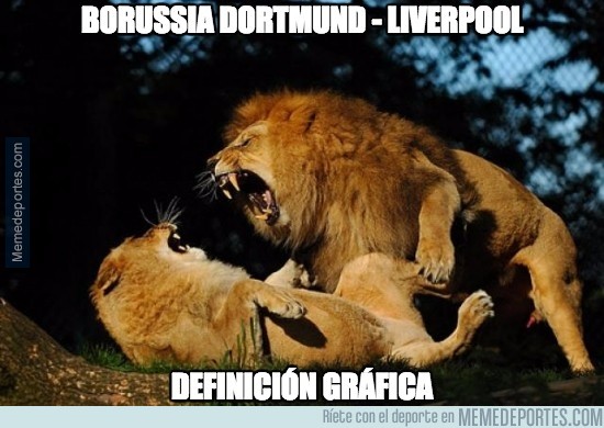 833544 - Borussia Dortmund - Liverpool