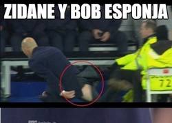 Enlace a Zidane y Bob Esponja, separados al nacer